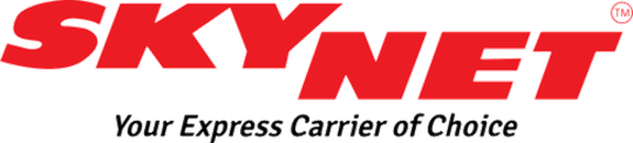Skynet logo